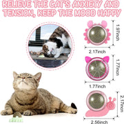 Wall Ball | Cat Toy Catnip