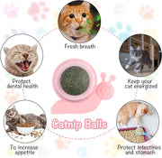 Wall Ball | Cat Toy Catnip